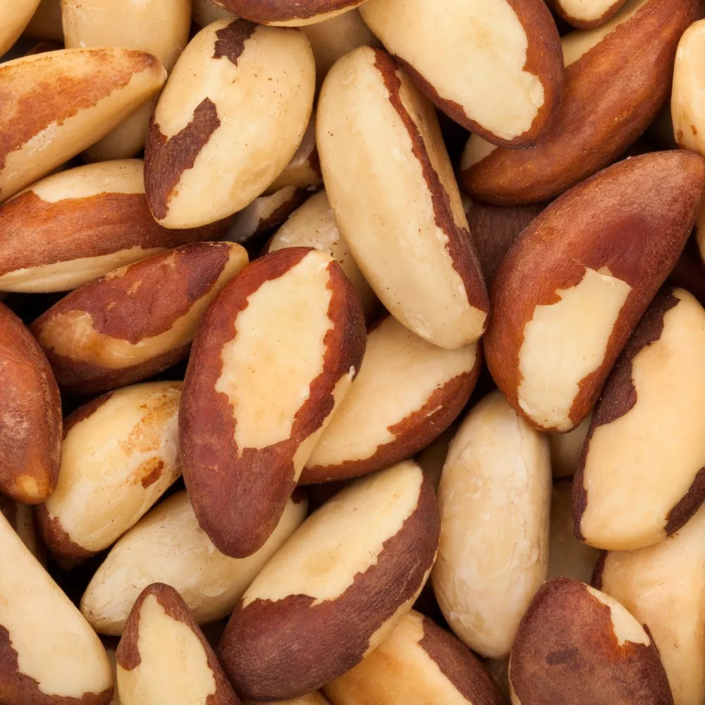 Descubra 5 Incríveis Benefícios das Castanhas para Sua Saúde