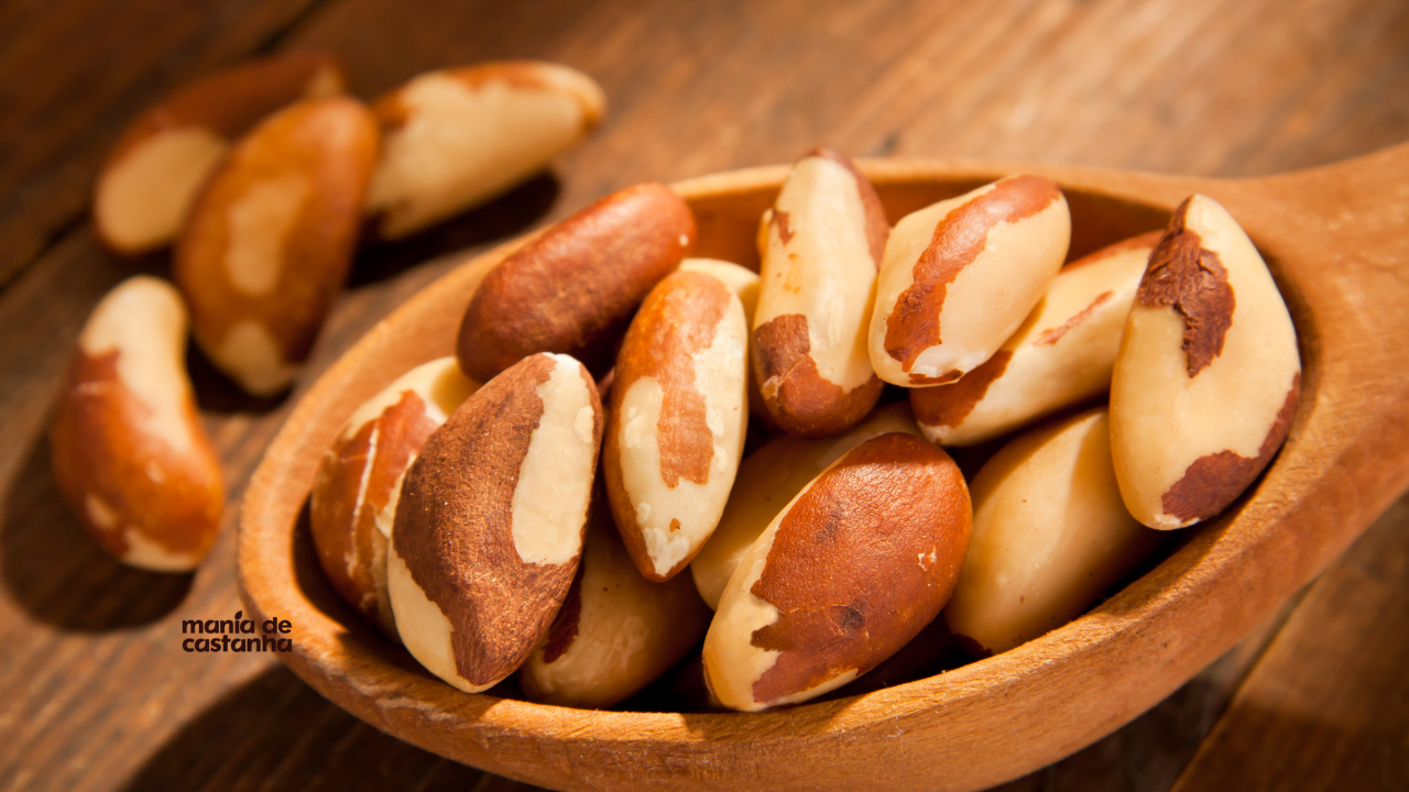 Castanhas-do-pará frescas em colher de madeira — alimento sustentável da Amazônia | Mania de Castanha